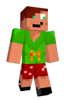Hackreis Minecraft avatar full body
