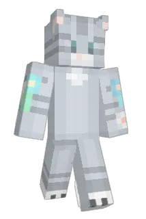 Hacksnow8906557 Minecraft avatar full body