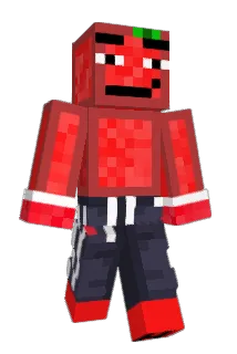 HadsakeRTC Minecraft avatar full body