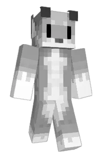 Haidi_ Minecraft avatar full body