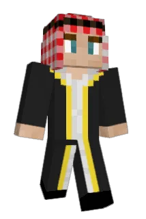 Haijeger Minecraft avatar full body