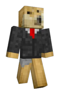 Hairline84492 Minecraft avatar full body