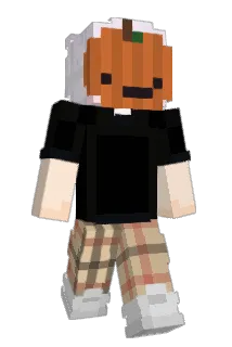 Haitaidie Minecraft avatar full body