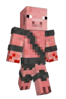 Hajjstag Minecraft avatar full body