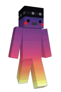 HakBro Minecraft avatar full body