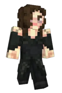 Hakkors Minecraft avatar full body