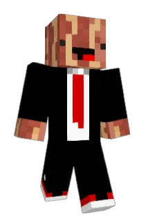 Hallsy113 Minecraft avatar full body