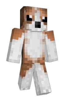 Halobuscus117 Minecraft avatar full body