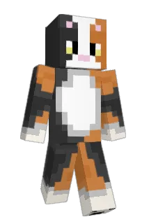 Halva23 Minecraft avatar full body
