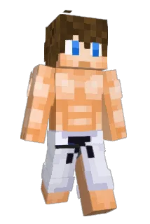 Hamed1123 Minecraft avatar full body