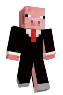 Hamsterknife Minecraft avatar full body