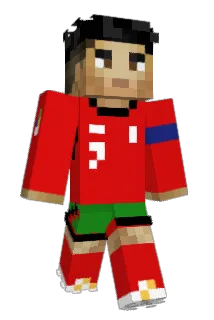 HanikPL Minecraft avatar full body