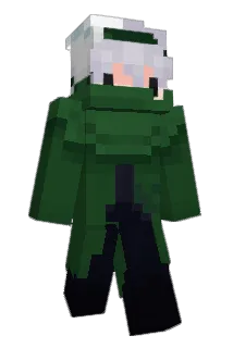Hank_The_Dolphin Minecraft avatar full body
