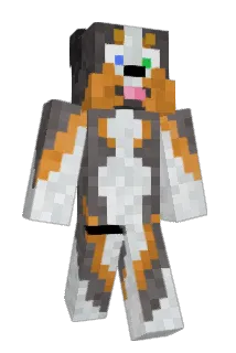HankandBob Minecraft avatar full body