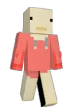 Hankwoo Minecraft avatar full body