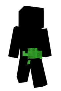 HankyDorry Minecraft avatar full body