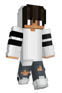 Hankz Minecraft avatar full body