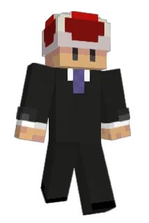 Hannniiii Minecraft avatar full body