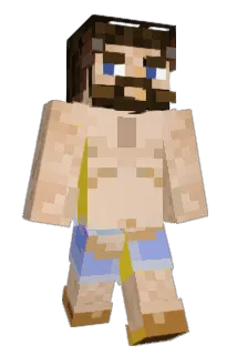 Hans_007 Minecraft avatar full body