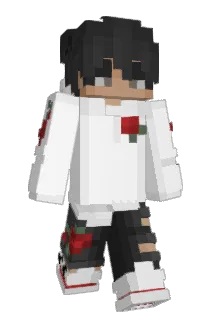 Hanus_ Minecraft avatar full body