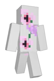 Hapital Minecraft avatar full body