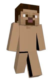 Happy_Horse25 Minecraft avatar full body