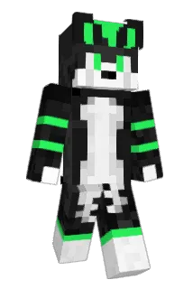 HarcyRaszkowski Minecraft avatar full body