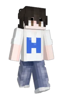 Hard6 Minecraft avatar full body