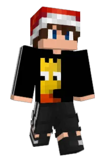 HardViBeZ Minecraft avatar full body