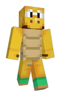 Hardback Minecraft avatar full body
