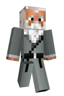 HarryDazzle Minecraft avatar full body