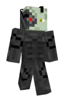 HarryPuddu Minecraft avatar full body