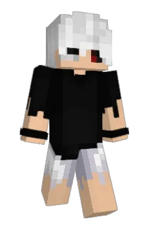 HarrySRL_ Minecraft avatar full body
