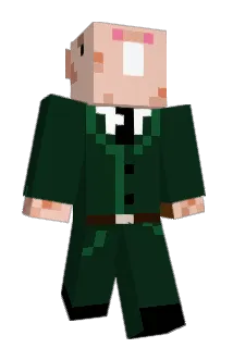 HarryTheWookie8 Minecraft avatar full body