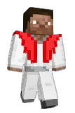HashBrosTrollsG Minecraft avatar full body