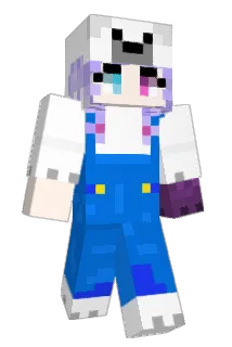 HashNRice Minecraft avatar full body