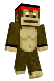 Hashin Minecraft avatar full body