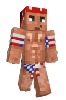 Hashtaged Minecraft avatar full body