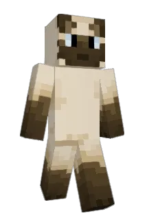 Hastlas Minecraft avatar full body