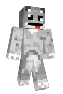 Hasususi Minecraft avatar full body