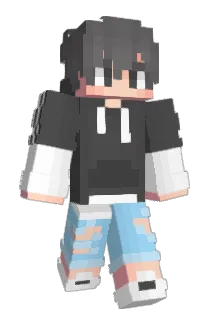 Have__A Minecraft avatar full body