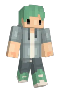 Haviii Minecraft avatar full body