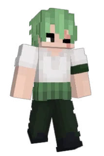 Hawck1l Minecraft avatar full body