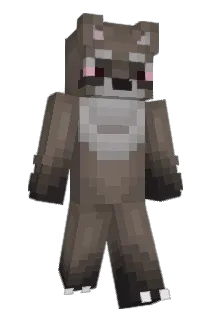 HawkiPUBG Minecraft avatar full body