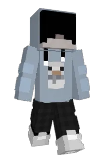 Hawords Minecraft avatar full body