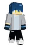 Hayanci Minecraft avatar full body