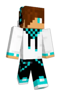 Hayden1337 Minecraft avatar full body