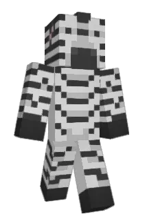 Hayden3010 Minecraft avatar full body