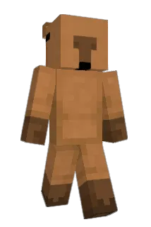 Haydence Minecraft avatar full body