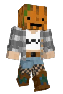 Haydn8oR Minecraft avatar full body